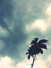 Low angle view of tree against sky