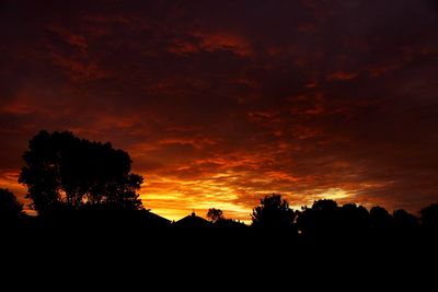 Silhouette trees against sky during sunset