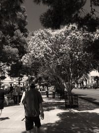 Footpath along trees