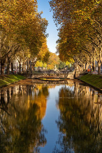 Scenic view of lake by trees during autumn