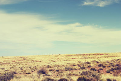 Scenic view of landscape against cloudy sky