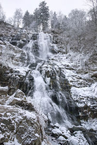 Scenic view of waterfall in forest