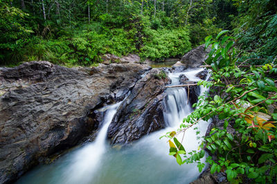 Scenic view of waterfall in forest
