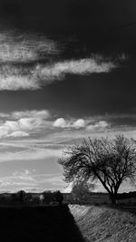 Silhouette trees on field against sky