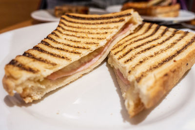 Close-up of a toasted sandwich on a plate.