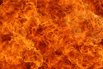 Close-up of red fire against black background