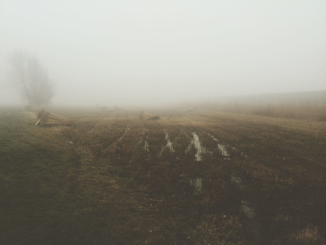 fog, foggy, weather, tranquil scene, tranquility, landscape, scenics, copy space, beauty in nature, nature, field, mist, non-urban scene, winter, sky, day, remote, no people, idyllic
