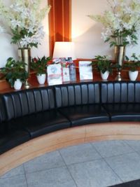 Potted plants on table at home