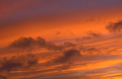 Low angle view of dramatic sky during sunset