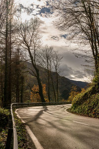 Road amidst trees and plants against sky