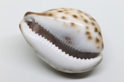 Close-up of white background
