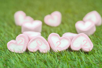 Close-up of heart shape on grass