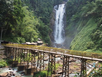 Scenic view of waterfall in forest