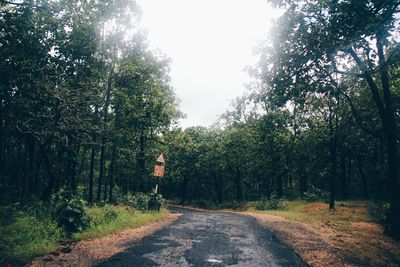 Street amidst trees against sky