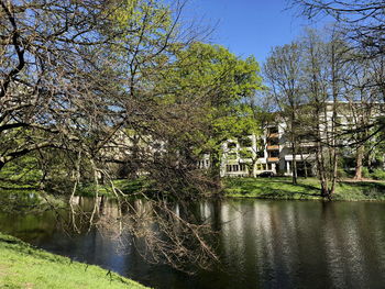 Plants by lake and building against sky