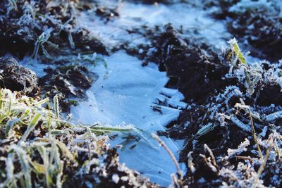 Close-up of rocks in water