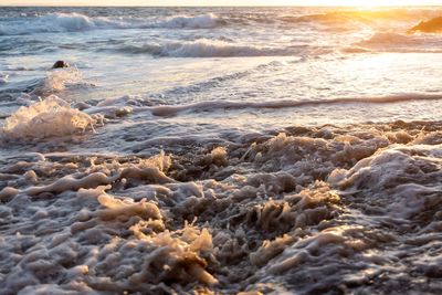 Scenic view of sea during sunset