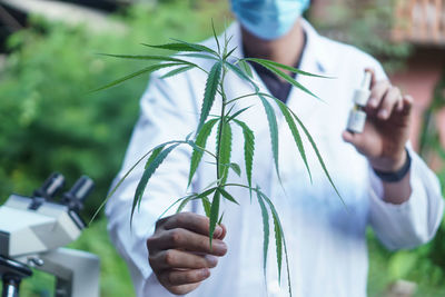 Midsection of man holding plant