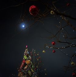 Low angle view of tree at night