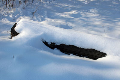 High angle view of horse on snow covered land