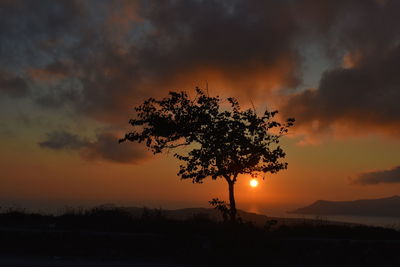 Silhouette tree on field against dramatic sky during sunset