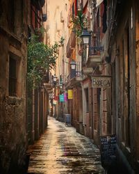 Narrow lane amidst buildings