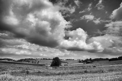 Scenic view of field against sky