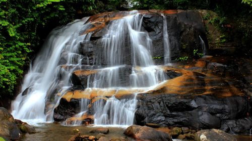 View of waterfall in forest