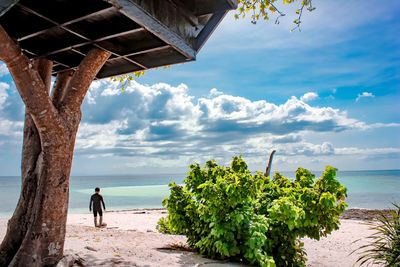 Rear view of man standing on beach against sky