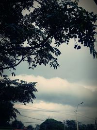 Low angle view of silhouette tree against sky