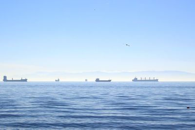 Container ships sailing in sea against sky