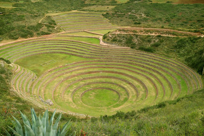 High angle view of agricultural landscape