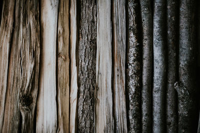 Detail shot of food