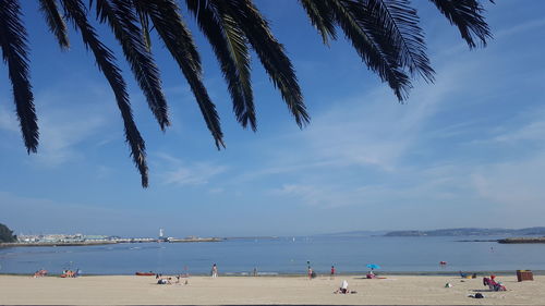 Tourists on beach