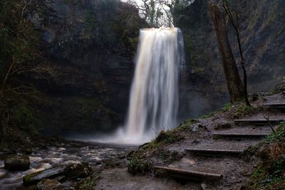 Scenic view of waterfall in forest