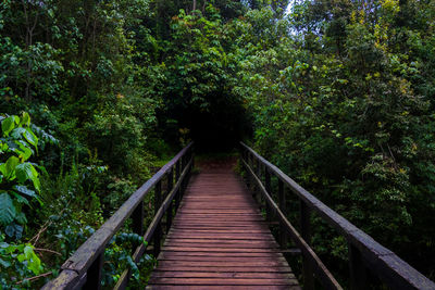 Footbridge amidst trees