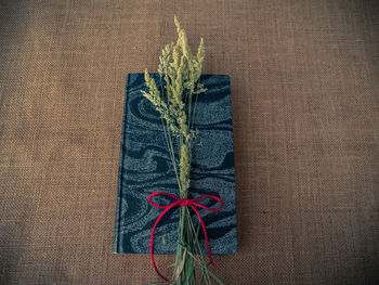 Directly above shot of diary and plants on burlap