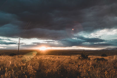 Scenic view of field against sky during sunset