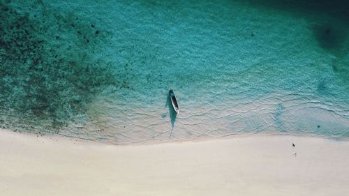 High angle view of man on beach