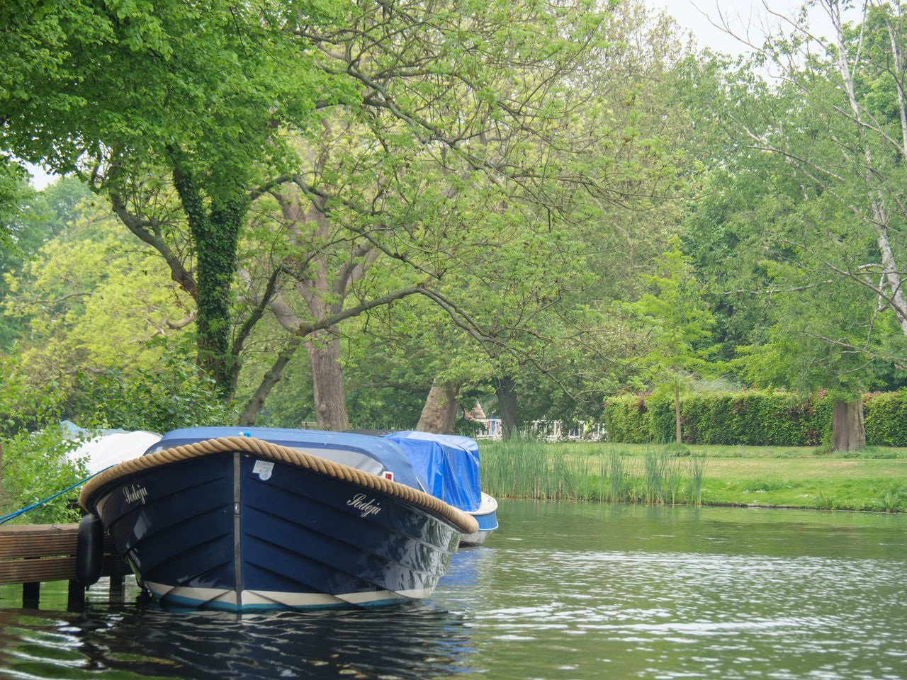 BOAT IN RIVER AMIDST TREES