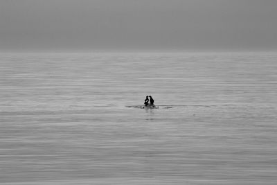 Silhouette birds in sea against sky