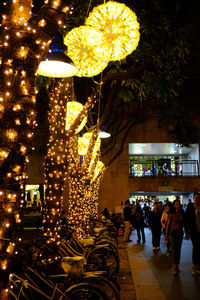 Group of people in front of illuminated christmas tree