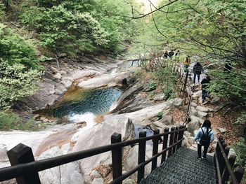 Full length of man by waterfall in forest