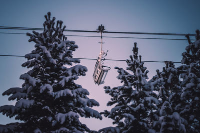 Low angle view of plants against sky