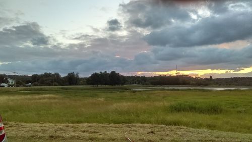 Scenic view of field against sky