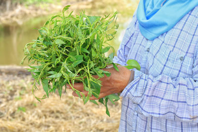 Midsection of man holding plant on field