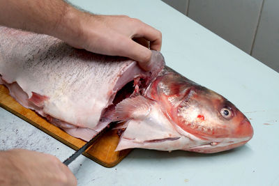 Cropped hand of person preparing fish