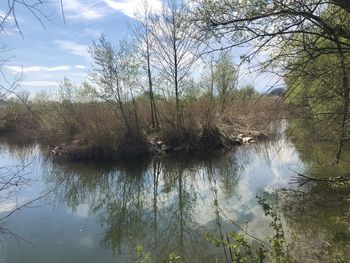 Reflection of trees in lake against sky