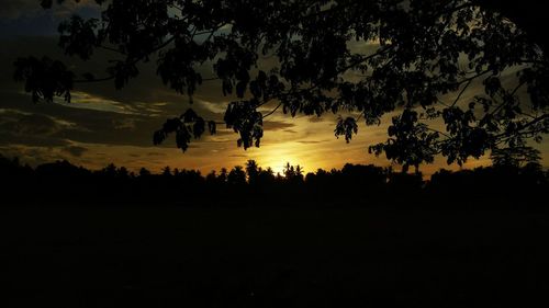 Silhouette trees on field against sky during sunset