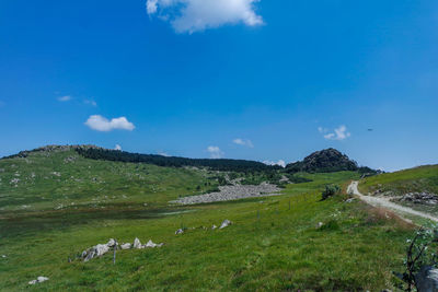 Scenic view of landscape against blue sky